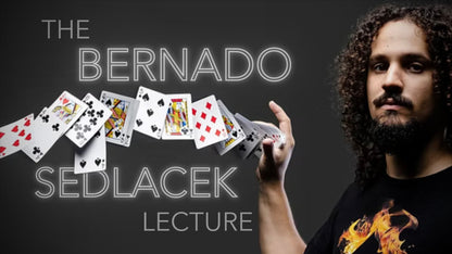 Bernardo Sedlacek Lecture
